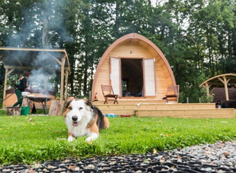 Thornfield Camping Cabins