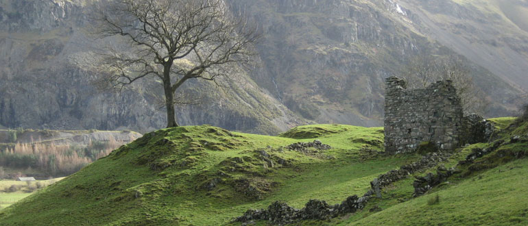 Dog friendly museums and castles in the Lake District