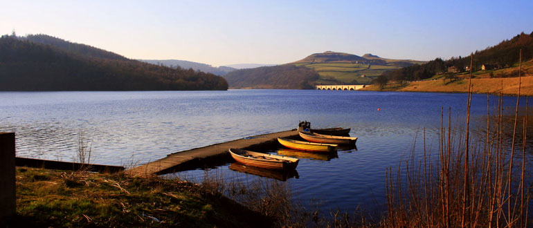 Dog friendly parks & gardens in the Lake District