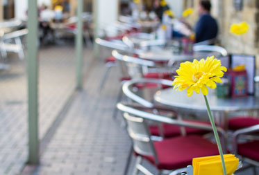 Dog friendly cafes in the Lake District