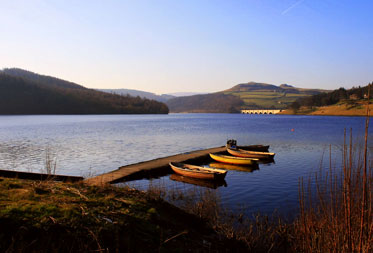 Dog friendly parks & gardens in the Lake District