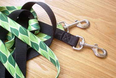 Dog Walkers & Sitters in the Lake District