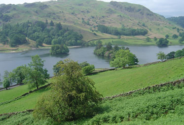 Dog Friendly Walks in the Lake District