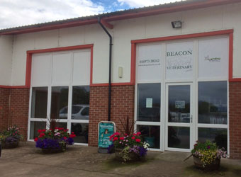 Beacon Vets