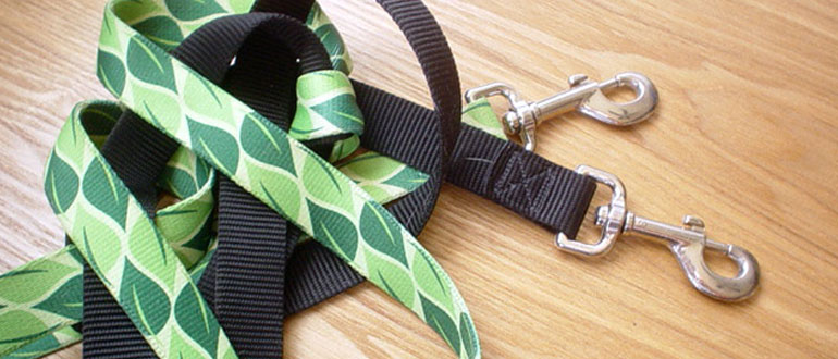 Dog Walkers & Sitters in the Lake District