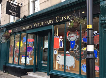 Highgate Vets