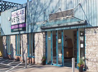 Highgate Vets