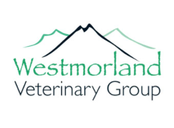 Westmorland Vets