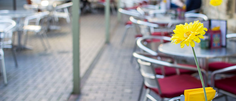 Dog friendly cafes in the Lake District